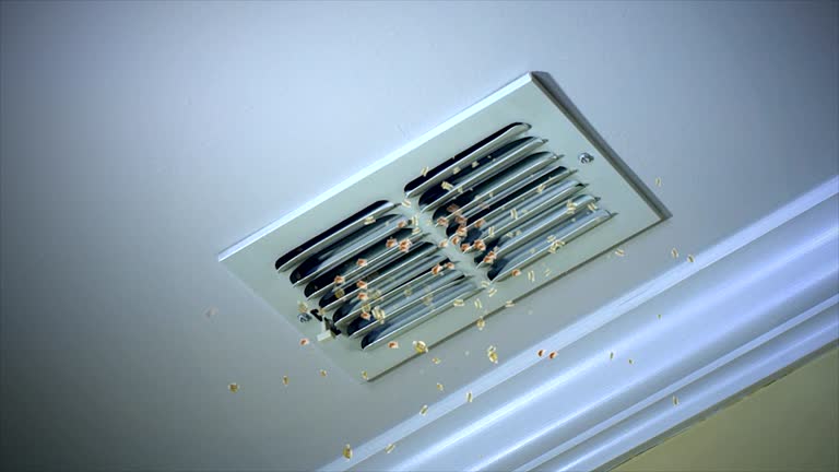 Best Home Air Vent Cleaning  in Elverson, PA